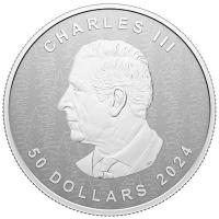Kanada 50 CAD Maple Leaf 2024 5 Oz Silber Ultra High Relief  Rckseite