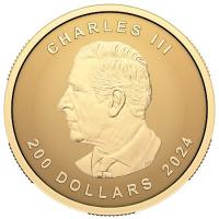 Kanada 200 CAD Maple Leaf 2024 1 Oz Gold Ultra High Relief Rckseite
