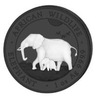 Somalia - African Wildlife Elefant Black and White Set 2022 - 2*1 Oz Silber