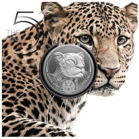 Sdafrika - 5 Rand Big Five II Leopard 2023 - 1 Oz Silber