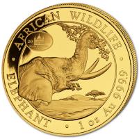 Somalia - 1000 Shillings Elefant 2023 WMF Berlin - 1 Oz Gold (nur 100 Stck!!!)