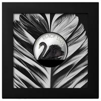 Cook Islands - 10 CID Black Swan 2023 - 2 Oz Silber Black Proof Ultra High Relief