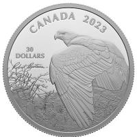 Kanada 30 CAD Vantage Point: Bald Eagle 2023 2 Oz Silber PP