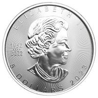 Kanada 5 CAD Maple Leaf 2023 1 Oz Silber Gilded Rckseite