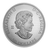 Kanada 50 CAD Monarchfalter und Blte (The Monarch and the Bloom) 2023 5 Oz Silber PP Gilded Rckseite