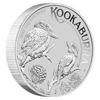 Australien - 10 AUD Kookaburra 2023 - 10 Oz Silber