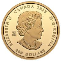 Kanada 200 CAD De Beers Ideal Heart 2024 1 Oz Gold PP Ultra High Relief Rckseite