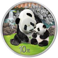 China 10 Yuan Panda 2024 30g Silber Color