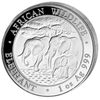 Somalia African Wildlife Elefant 2013 1 Oz Silber