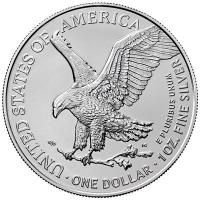 USA 1 USD Silver Eagle Erfindungen (7.) Computer 1 Oz Silber Color Rckseite