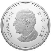 Kanada 1 CAD 100 Jahre Royal Canadian Air Force 2024 Silber Proof  Rckseite