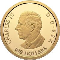 Kanada 100 CAD 100 Jahre Royal Canadian Air Force 2024 Gold Proof  Rckseite