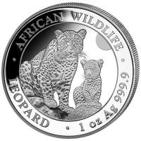 Somalia African Wildlife Leopard 2024 1 Oz Silber