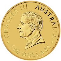 Australien 100 AUD 125 Jahre PerthMint 2024 1 Oz Gold Rckseite