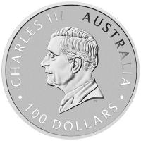 Australien 100 AUD 125 Jahre PerthMint 2024 1 Oz Platin Rckseite