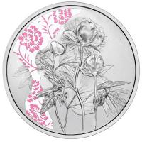 sterreich 10 Euro Sprache der Blumen (6.) Die Pfingstrose 2024 Silber PP Color