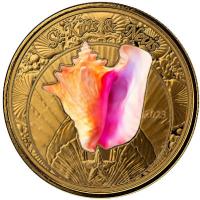 St. Kitts - 10 Dollar EC8_6 Muschelschale (Conch Shell) 2023 - 1 Oz Gold Color (nur 100 Stck !!!)