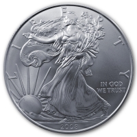 USA 1 USD Silver Eagle 2008 1 Oz Silber