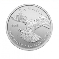 Kanada - 5 CAD Birds of Prey Wanderfalke 2014 - 1 Oz Silber