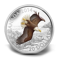 Kanada - 20 CAD Bald Eagle Hhenflug 2014 - 1 Oz Silber Color