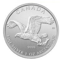 Kanada - 5 CAD Birds of Prey Weikopfseeadler 2014 - 1 Oz Silber