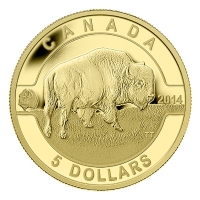 Kanada - 5 CAD O Canada Bison 2014 - 1/10 Oz Gold