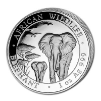 Somalia African Wildlife Elefant 2015 1 Oz Silber
