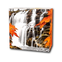 Kanada - 20 CAD Autumn Falls - 1 Oz Silber PP