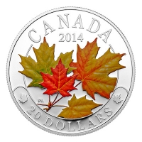 Kanada - 20 CAD Majesttische Ahornbltter Farbe 2014 - 1 Oz Silber