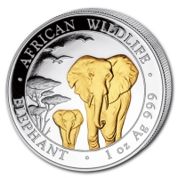Somalia - African Wildlife Elefant 2015 - 1 Oz Silber Gilded