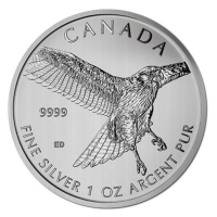 Kanada - 5 CAD Birds of Prey Rotschwanzbussard 2015 - 1 Oz Silber