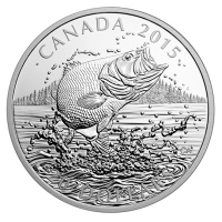 Kanada - 20 CAD Fischarten Forellenbarsch 2015 - 1 Oz Silber