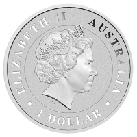 Australien - 1 AUD Trichternetzspinne 2015 - 1 Oz Silber
