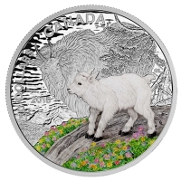 Kanada - 20 CAD Tierbabies Bergziege 2015 - 1 Oz Silber