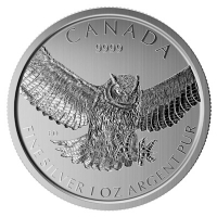 Kanada - 5 CAD Birds of Prey Eule 2015 - 1 Oz Silber