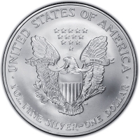 USA 1 USD Silver Eagle 2007 1 Oz Silber Rckseite