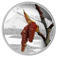 Kanada - 20 CAD Wlder Pappel 2015 - 1 Oz Silber