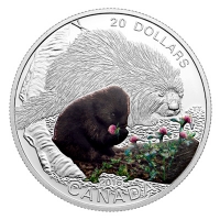 Kanada - 20 CAD Tierbabies Stachelschwein 2016 - 1 Oz Silber