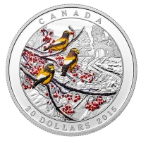 Kanada - 20 CAD Wetter Winterfrost 2015 - 1 Oz Silber