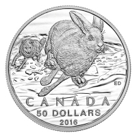 Kanada - 50 CAD $50 for $50 Hase 2016 - 1/2 Oz Silber