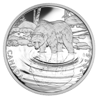 Kanada - 10 CAD Reflection of Wildlife Grizzly - 1/2 Oz Silber