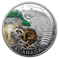 Kanada - 20 CAD Tierbabies Waschbr 2016 - 1 Oz Silber