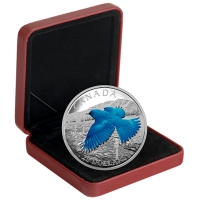 Kanada - 20 CAD Birds Mountain Bluebird 2016 - 1 Oz Silber