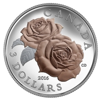 Kanada - 3 CAD Queen Elizabeth Rose 2016 - 1/4 Oz Silber