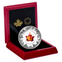 Kanada - 50 CAD Murano Maple Leaf 2016 - 5 Oz Silber