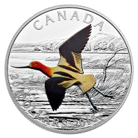 Kanada - 20 CAD Birds Amerik. Sbelschnbler 2016 - 1 Oz Silber