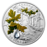 Kanada - 20 CAD Juwel des Regens Ahorn 2016 - 1 Oz Silber