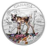 Kanada - 20 CAD Tierbabies Karibu 2016 - 1 Oz Silber