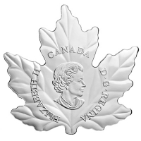 Kanada - 10 CAD Shaped Maple Gnse 2016 - 1/2 Oz Silber