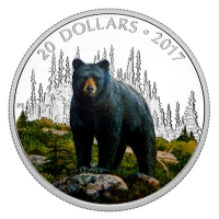 Kanada - 20 CAD Tierserie Schwarzbr 2017 - 1 Oz Silber